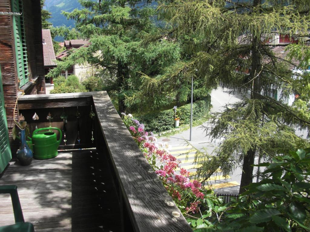 Apartments Dr. Med. Vet. Tempelman Interlaken Bilik gambar